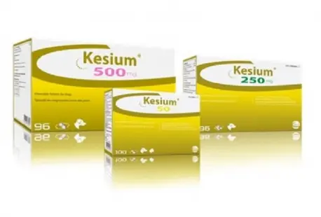 Kesium Ceva