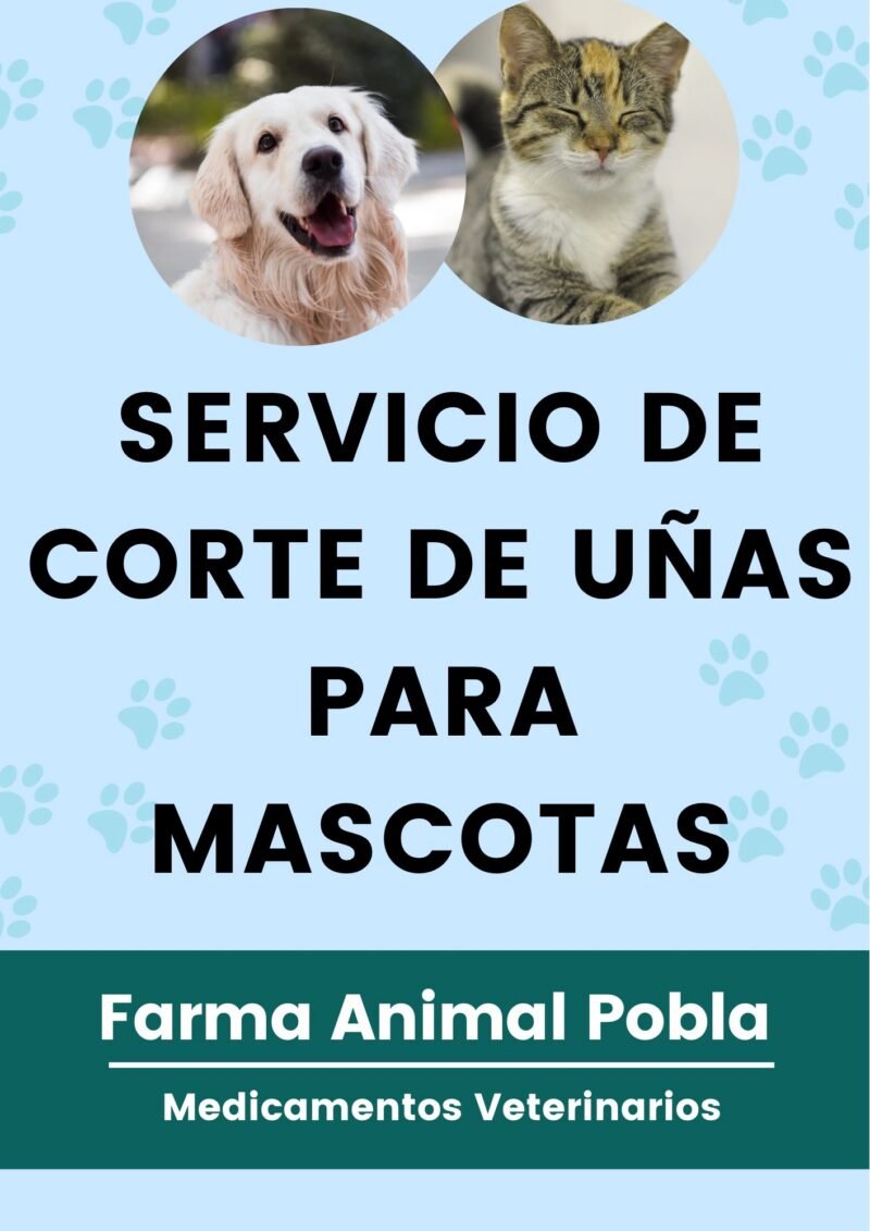 Servicio de corte de uñas