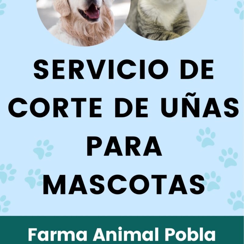 Servicio de corte de uñas