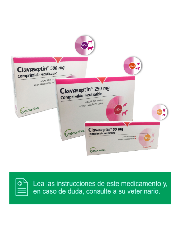 Clavaseptin®

Amoxicilina + Ácido clavulánico Comprimidos masticables